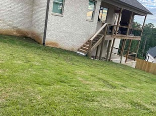 Kim K.'s grass maintenance service result