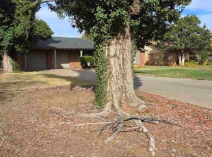 Josh M.'s lawn maintenance service result