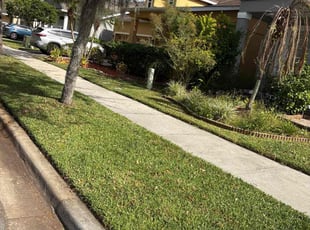 Margaret H.'s grass maintenance service result