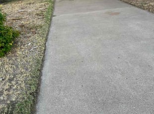 Jacqueline G.'s lawn care services service result