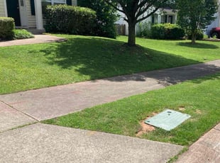 Peter B.'s lawn care services service result