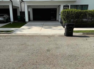 Michelle M.'s turf care service result