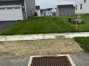 Isabelle M.'s lawn care services service result