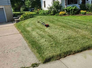 Dan Z.'s lawn maintenance service result