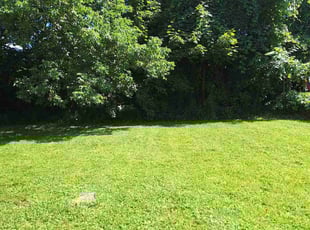 Pastor D.'s lawn care services service result