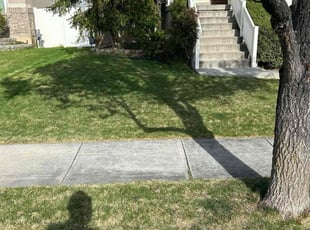 Kathrine P.'s lawn care service result