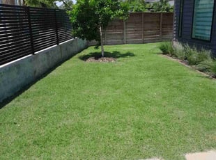 Matthew B.'s turf maintenance service result