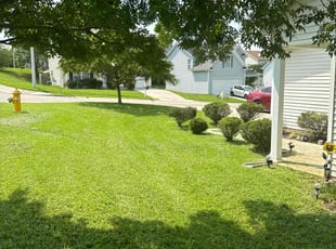 Chris H.'s grass cutting service result
