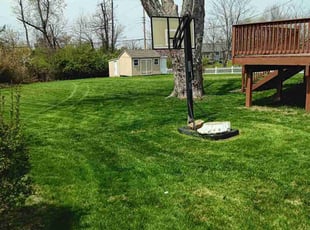 Zack m.'s lawn service service result