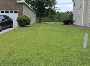 Adrian B.'s lawn care services service result
