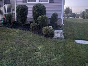 Aris B.'s Bush Trimming service result