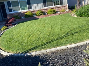 Amanda A.'s turf maintenance service result