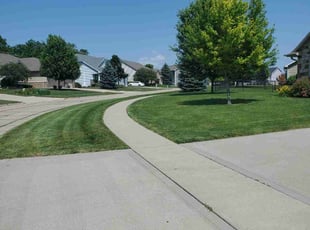 Anita B.'s turf maintenance service result