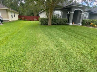 Amie H.'s turf maintenance service result
