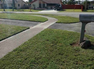 Kevin S.'s lawn care services service result