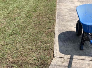 Danielle R.'s turf maintenance service result