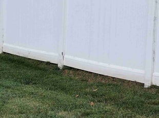 Dave W.'s turf maintenance service result