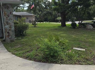 Dan L.'s grass maintenance service result