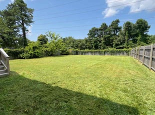 Reena J.'s lawn care service result