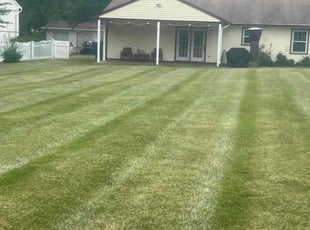 Carol T.'s lawn maintenance service result