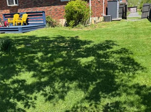 Cindy B.'s lawn maintenance service result