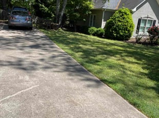 Yosef J.'s grass maintenance service result