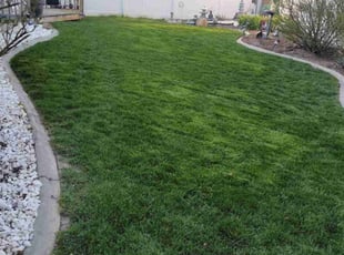 Nate D.'s yard service service result