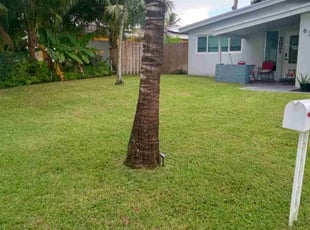 Darla E.'s lawn care services service result