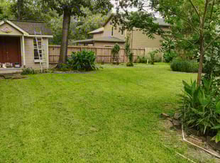 Mike W.'s lawn maintenance service result