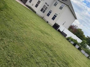 Traivion S.'s lawn maintenance service result
