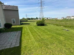 Misty Z.'s lawn care services service result
