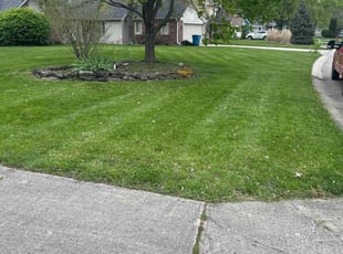 Lindsay D.'s grass cutting service result