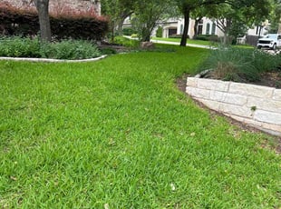 Mr B.'s grass maintenance service result