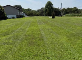 Barry B.'s grass maintenance service result