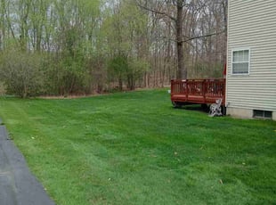 Michael Dante A.'s lawn care services service result