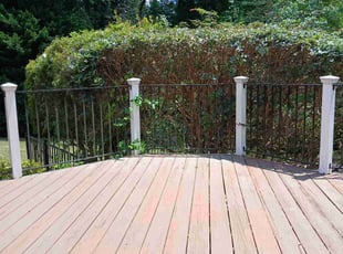 Dewey T.'s Bush Trimming service result