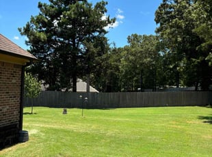 Benita P.'s lawn service service result
