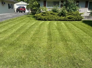Ciana K.'s lawn care services service result