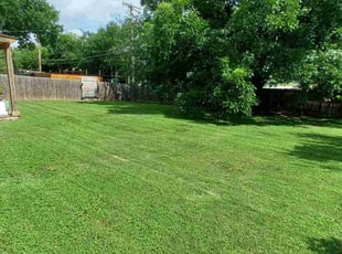 Connie P.'s lawn service service result