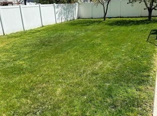 Kimberly K.'s lawn maintenance service result