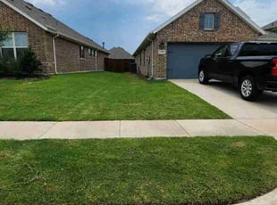 Manuel S.'s grass cutting service result