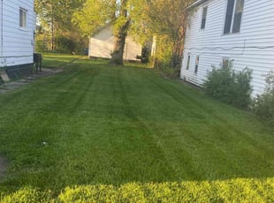Shraddha G.'s grass maintenance service result