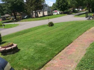 Celeste H.'s lawn care services service result