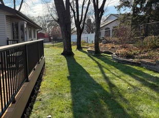 Christine V.'s Leaf Removal service result