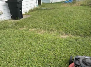 Wade M.'s lawn care service result