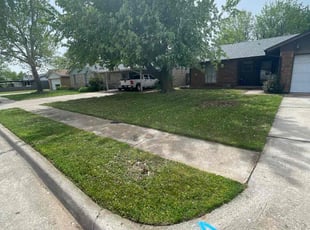 Amie H.'s Long Grass Cleanup service result