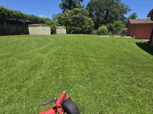 Jessica M.'s lawn maintenance service result