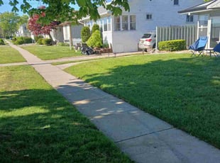 Harry H.'s turf maintenance service result