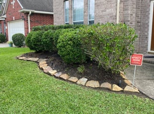 Jason D.'s Bush Trimming service result