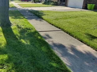 Joanne Z.'s grass maintenance service result